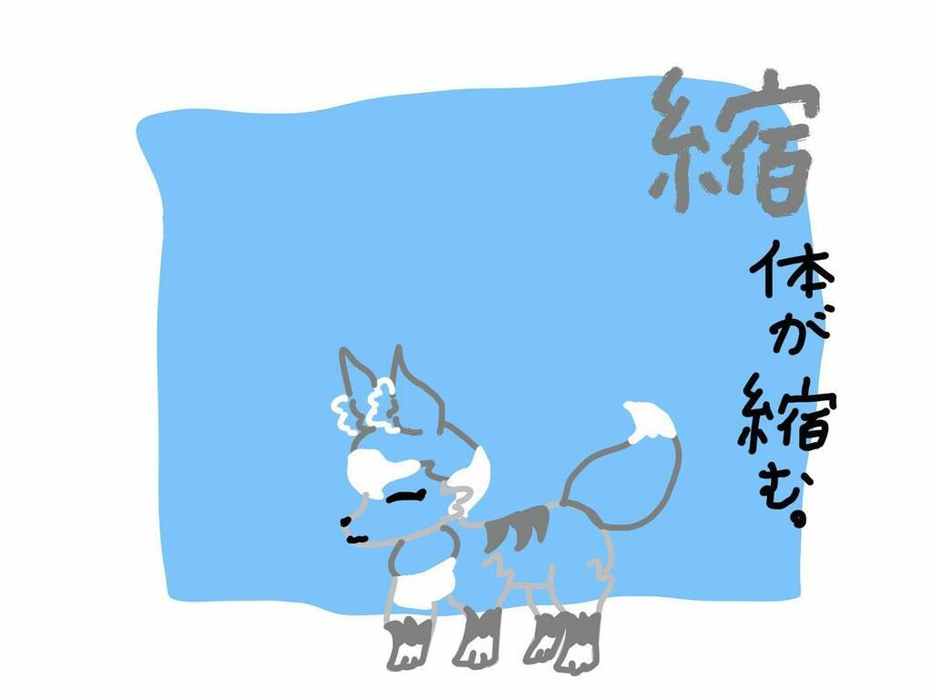 ぴょんぴょん 漢字べんきょう中 縮 シュク ちぢ む いとへん 漢字検定 漢字 小6 勉強垢 楽しく勉強したい 勉強アイデア Bna Bnafanart Brandnewanimal Bna好きさんと繋がりたい T Co Adguykt1zn T Co Ed6wvz8xvu ぴょんぴょん 漢字べんきょう中 縮 シュク ちぢ む いとへん 漢字検定 漢字 小6 勉強垢 楽しく勉強したい 勉強アイデア Bna Bnafanart Brandnewanimal Bna好きさんと繋がりたい T Co Adguykt1zn T Co Ed6wvz8xvu