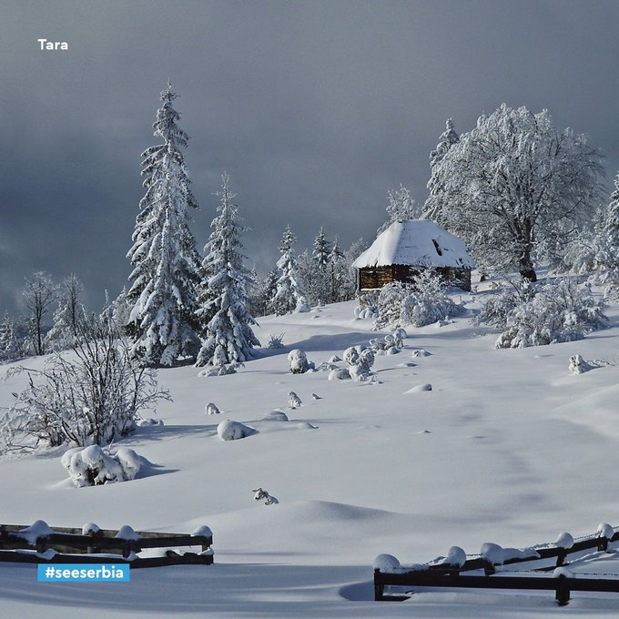 잘나가고 (@jalnagago) on Twitter photo 