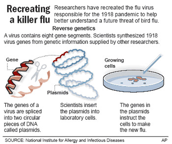 85) An esoteric process called “plasmid-based reverse genetics” was used to generate an influenza virus that supposedly matches the one that “caused” the 1918 pandemic.