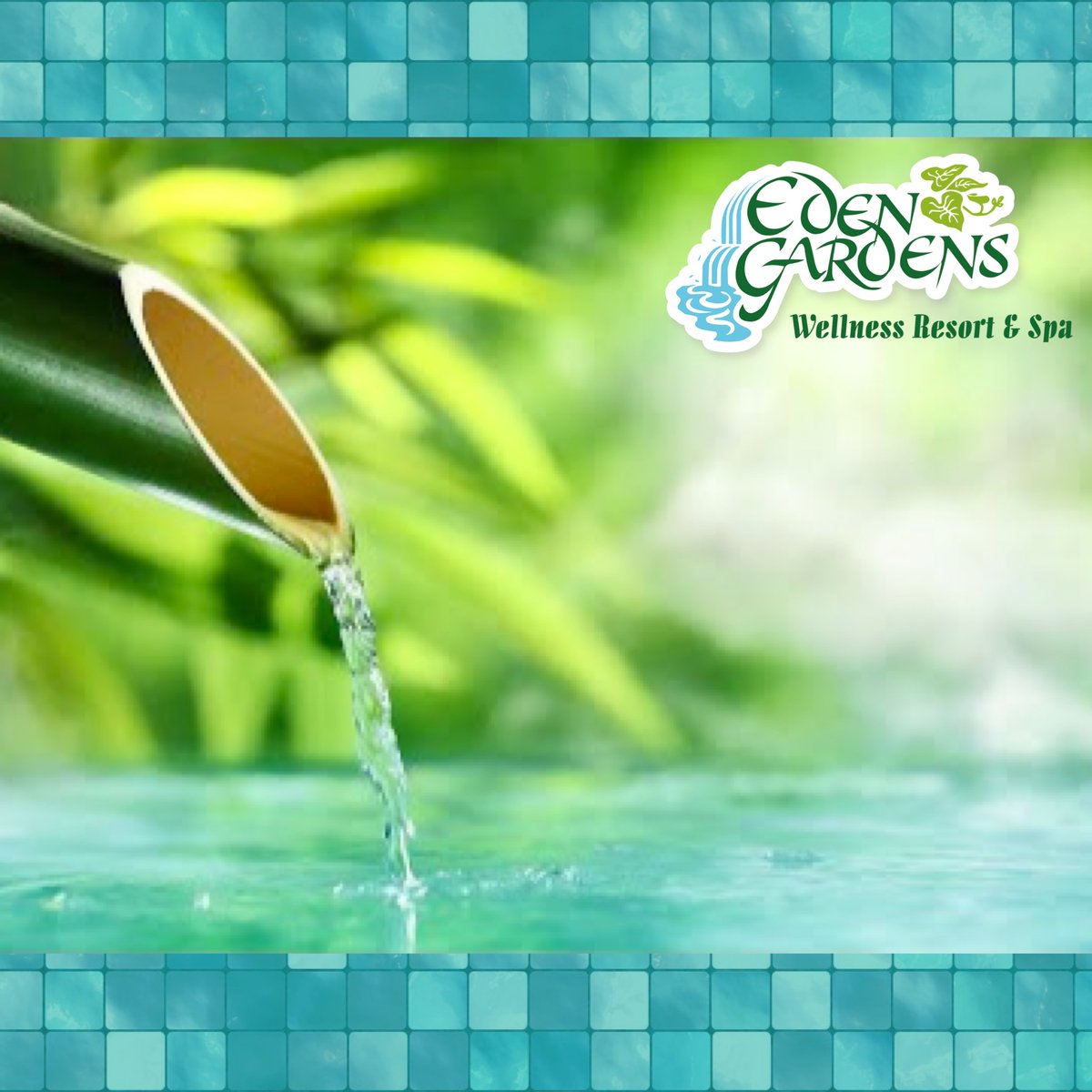Keep your vitality. A life without health is like a river without water. Maxime Lagacé
#EdenGardens #wellness