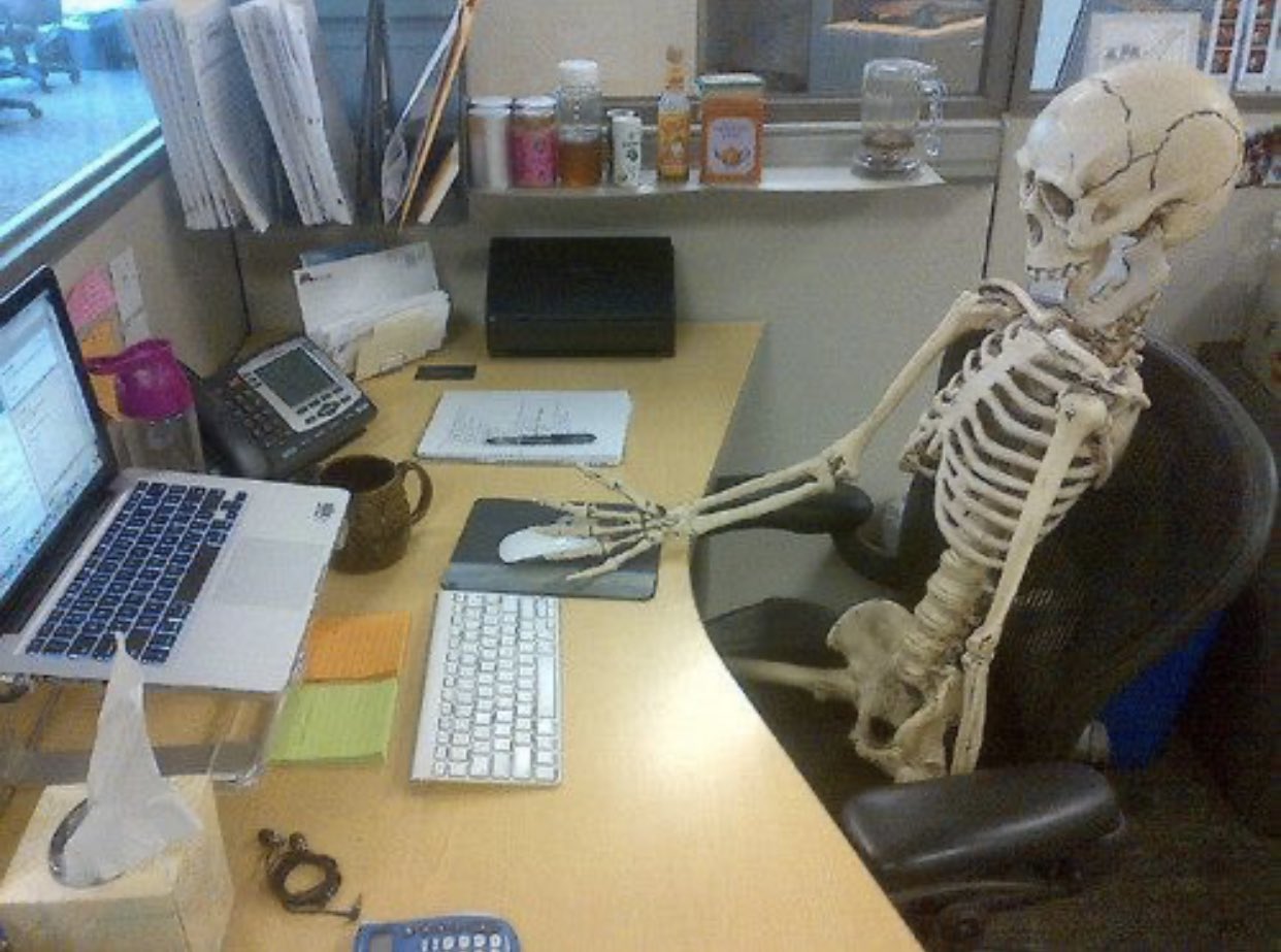 Скелет работает. Скелет работает. Скелет в смешной позе. Скелет у компа. Скелет работает.