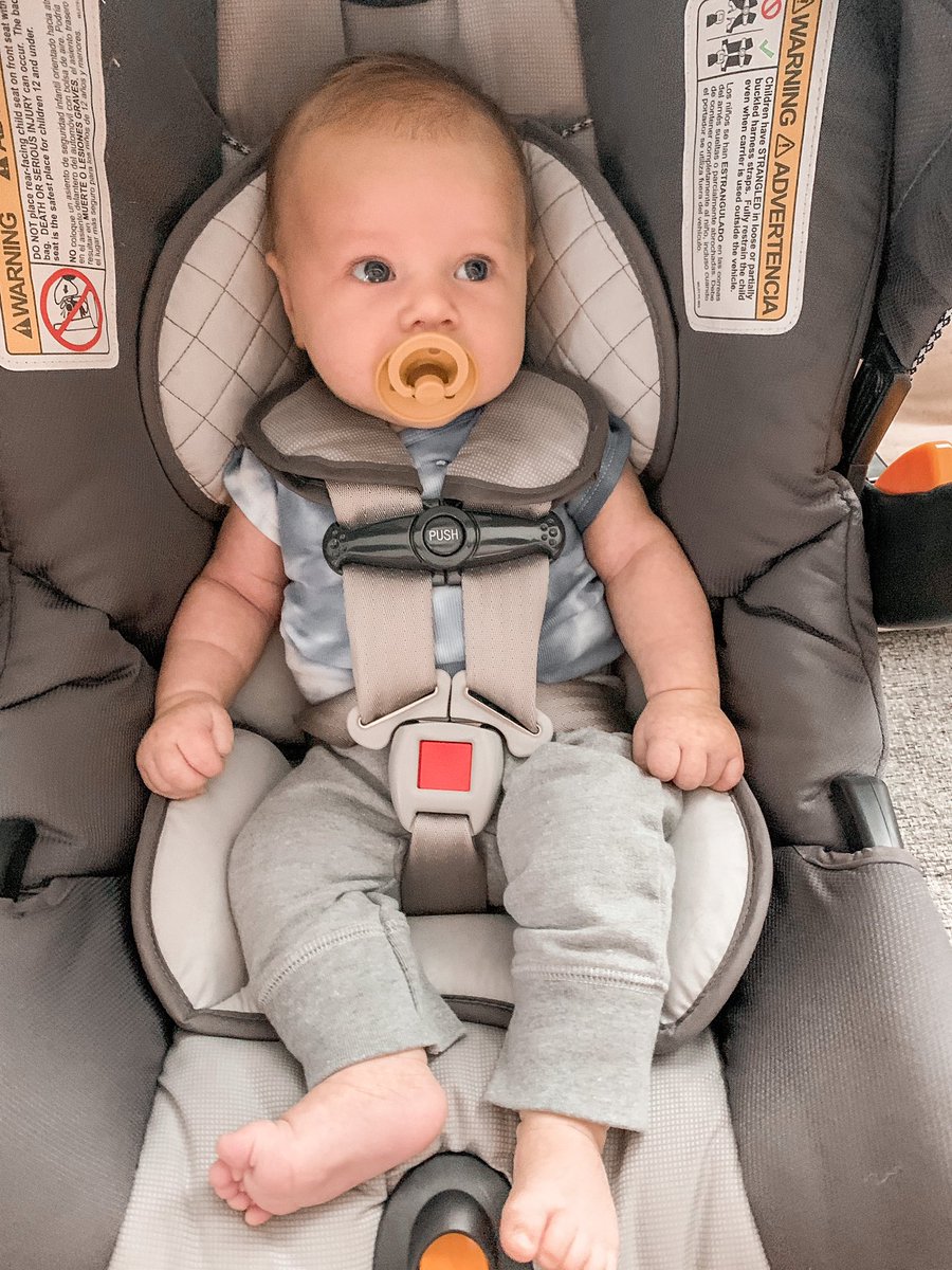 lyriccsmith's tweet photo. update: the bun is getting bigger and cuter. Happy 2 months cohen haze ✨ https://t.co/dol0Ukt7Ft