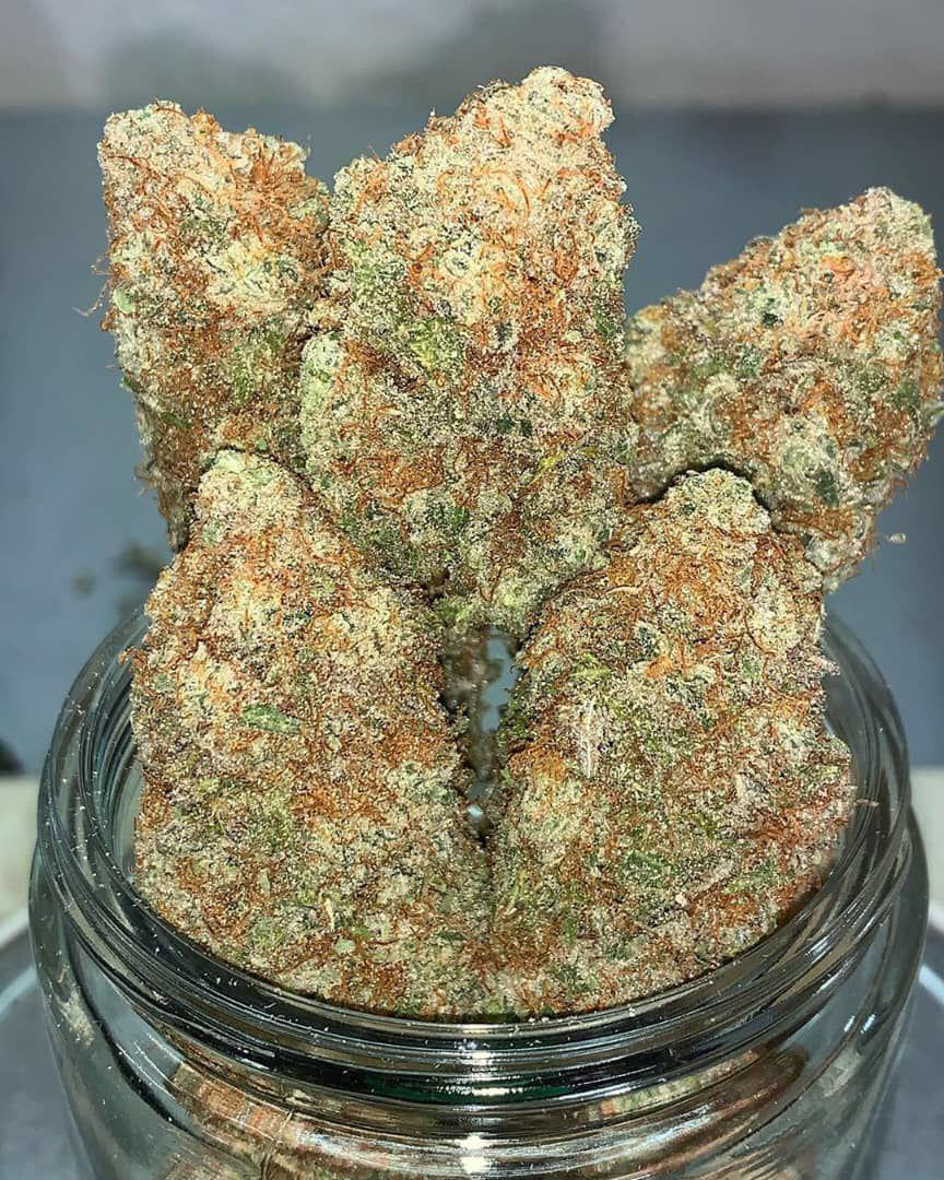 Contact and get high to feel good +19094479820
pamacannabi.com
Enter the world of #cbd , be forever #healthy .100% natural #lifestyle 
#cannabis #hemp #cannabiscommunity #cbdoil  #cbdhealth #cannabisculture #cbdproducts #cbdmovement #sativa #indica #cbdheals  #hightimes