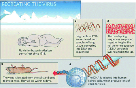 90) They then attempted to “validate” their results by infecting mice, along with fertile chicken eggs, with this “reconstructed” virus. This is simply nonsensical on a basic, intuitive level.