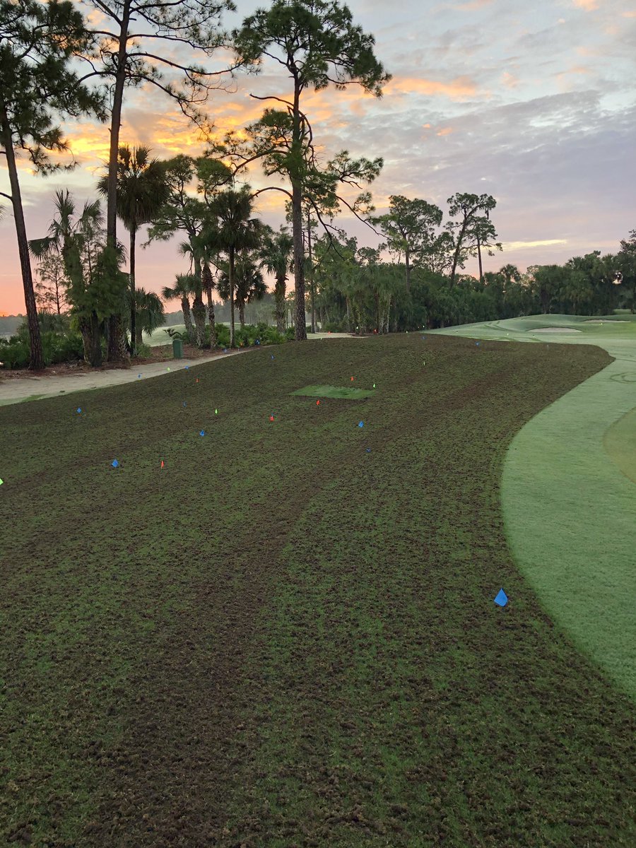 DarrenJDavisGCS's tweet photo. Getting Monday morning started with #aerification and rock removal left of 1 fairway #oldefloridagolfclub #golfcoursesuperintendent #thisismyoffice #swfl #golf #taleoftwoseasons #itsgoingtobealongday for the #agronomy team https://t.co/CTWJRn6Q1j