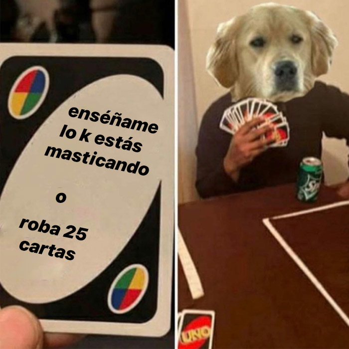 Gordito_Perrito's tweet photo. https://t.co/JDntUX0xw6