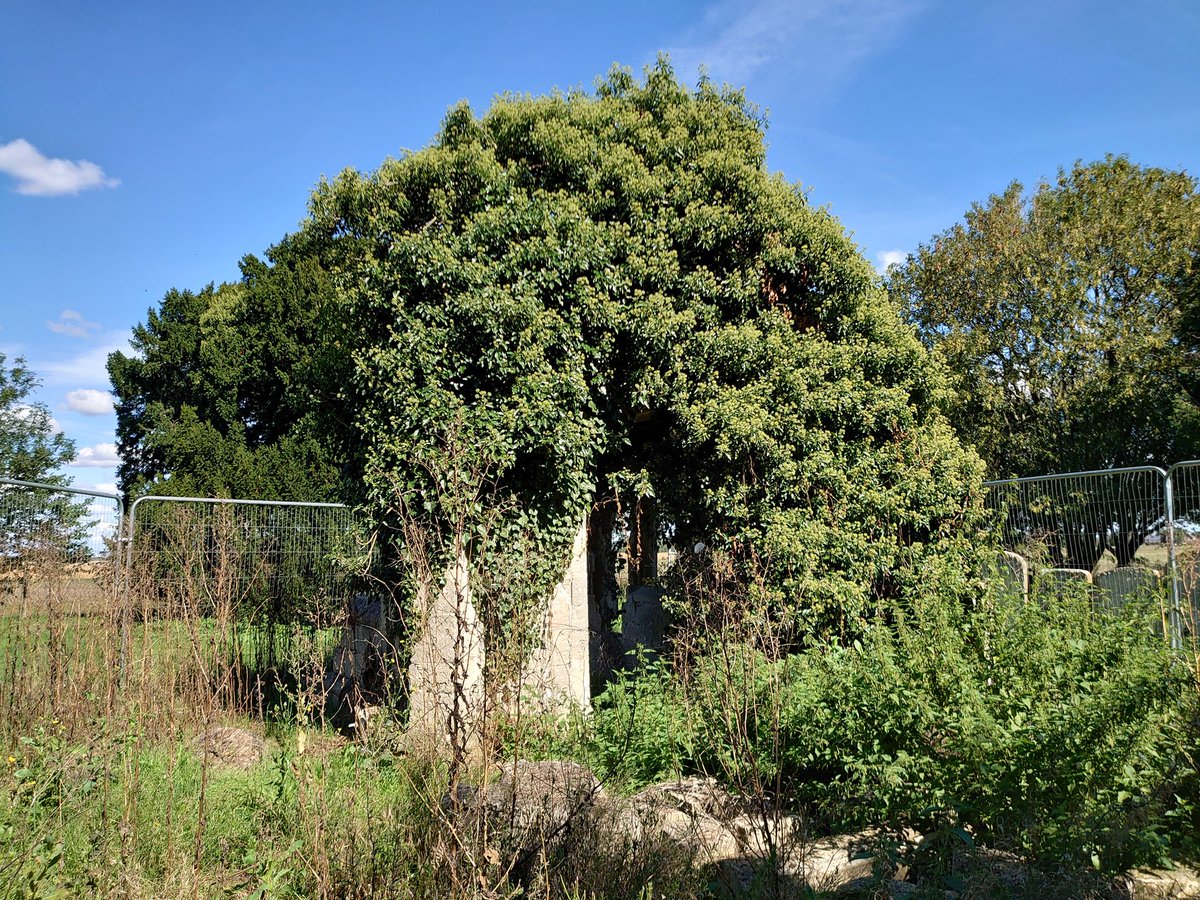 PaulMagan2's tweet image. The ancient St Helen's Church, Colne. In 1895 the tower collapsed. Now all that remains is the south porch.. lovely place to sit and just be.. No #OSBenchmark however, no matter how hard I look! @FascinatingFens @FenEdgeTrail