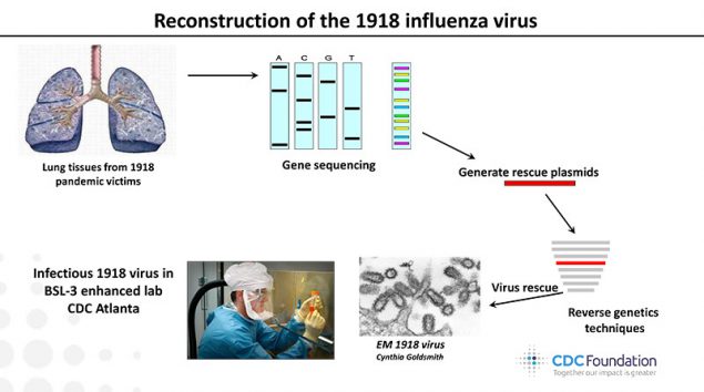 91) The researchers are just trying way too hard to force-feed a patched together, “reconstructed” virus that almost matches the virus that supposedly infected a handful of patients who supposedly all suffered from the exact same malady over 100 years ago. What a mess.
