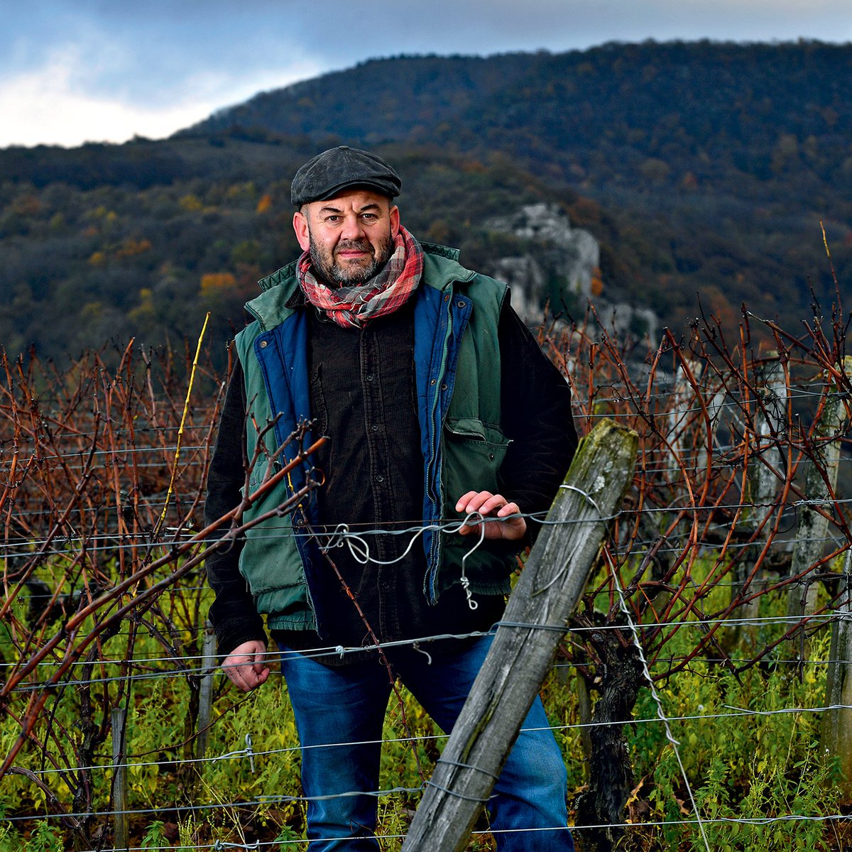 Les vins Fanfan-tastique sont arrivés en Mass
 - mailchi.mp/8b547ad7287b/m…