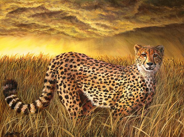 stephmoraca's tweet photo. New artwork for sale! - "Cheetah" - https://t.co/UgZwggtuoN @fineartamerica https://t.co/mtQFv6CUaE