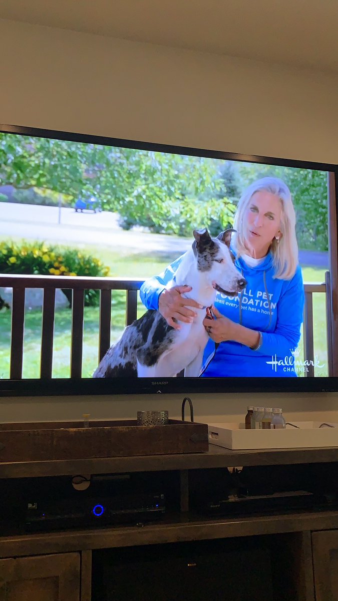 My beautiful and amazing friend and mentor, Cathy Bissell! She’s amazing! <a href="/hallmarkchannel/">Hallmark Channel</a> <a href="/AdoptEverAfter/">AdoptionEverAfter</a> #TailsOfJoy2