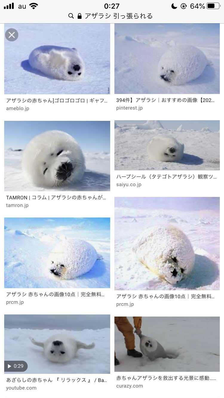 さき S בטוויטר あ アザラシかわいい いやされる