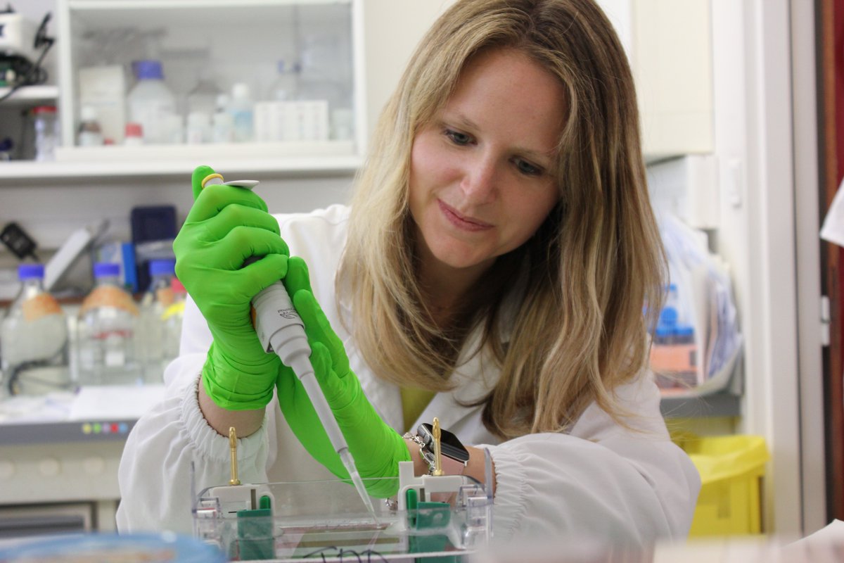 HepvirTeam's tweet photo. Manon Desmares, @manonds14, is a 3rd year PhD student. She is our “Nano Girl” since she works on the R&amp;D of a functionalized nanoparticle containing innate immune modulators to combat #HBV/#HDV infections. https://t.co/9azhanpmqW