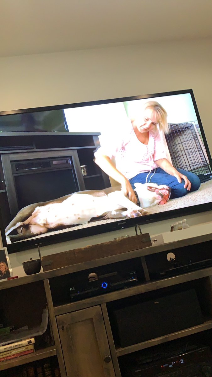 She adopted this big boy...but you’ll never guess what she originally planned to adopt!!! <a href="/hallmarkchannel/">Hallmark Channel</a> <a href="/AdoptEverAfter/">AdoptionEverAfter</a> #TailsOfJoy2