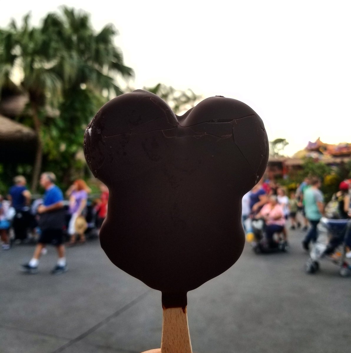 Mickey bars are always a delicious snack to have while walking through the parks.

#mickey #mickeybar #mickeymouse #disneyeats #disneytreats #disneyfoodie #disneyfood #magickingdom #wdw #disneyworld #waltdisneyworld #disneyparks #disney