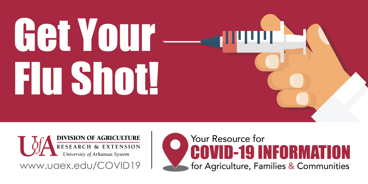 NWAPlantAgent's tweet photo. Experts expect #flu to overlap with #COVID19 this fall. While there’s no vaccine for COVID19 yet, there IS a flu vaccine. Protect yourself by getting your #flu shot this fall. Learn more about this year’s flu https://t.co/Wad80nuQWK #Arkansas https://t.co/LMqlGIwvOf