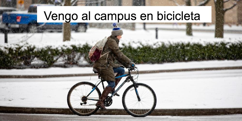 Lina Rubina tweet media