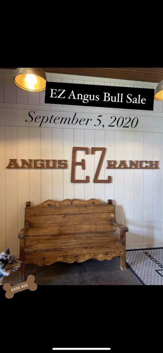 topdollarangus's tweet photo. #topdollarangus #verifiedgenetics https://t.co/OxQ6Td2yL0
