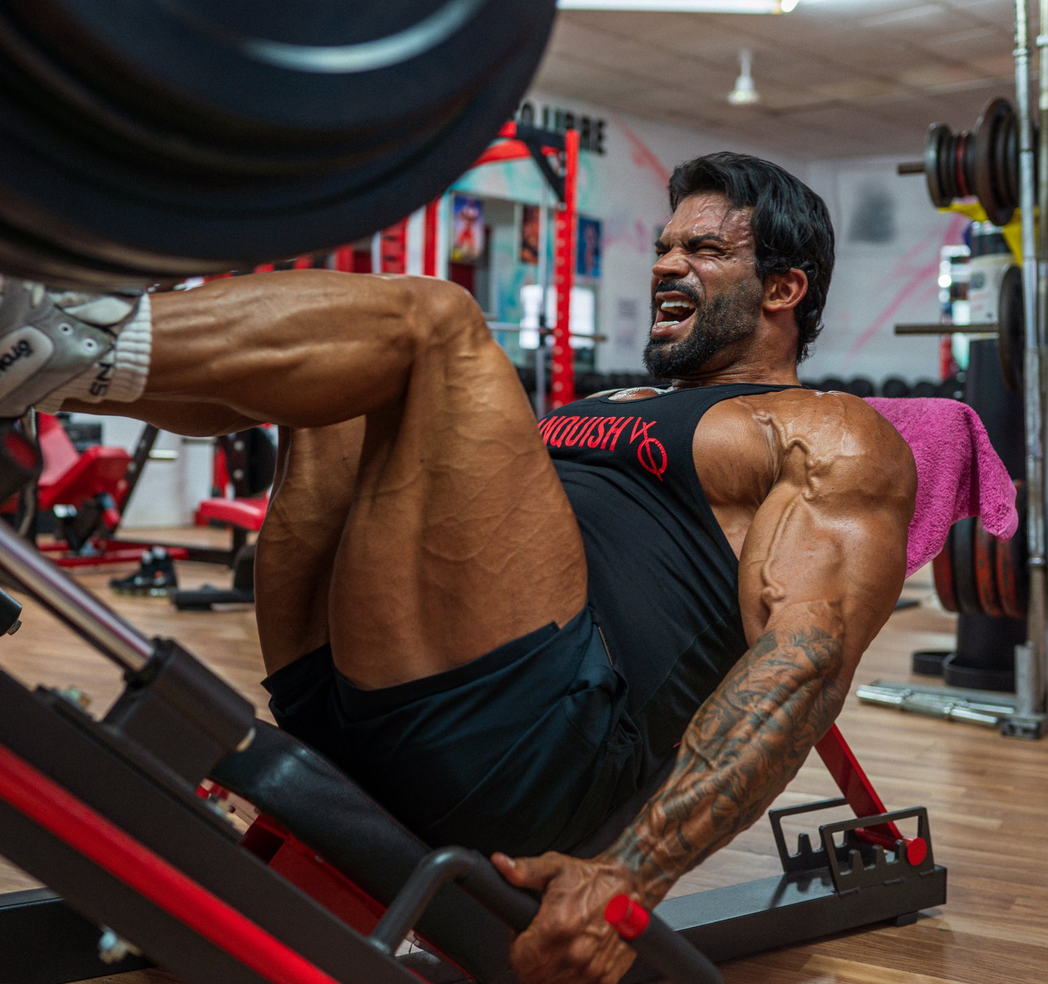 Sergi Constance on X Who else enjoy a good leg pump Tap VQFIT link https t IgAmi2BWXU check the latest drops https t xL4QtKoiTN X
