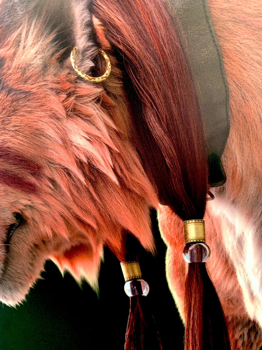 Red XIII’s earring carvings and gold feather adornment is so intricate, and the bangles he wears also seems to have some kind of language written on them.  #FF7RxSkytree