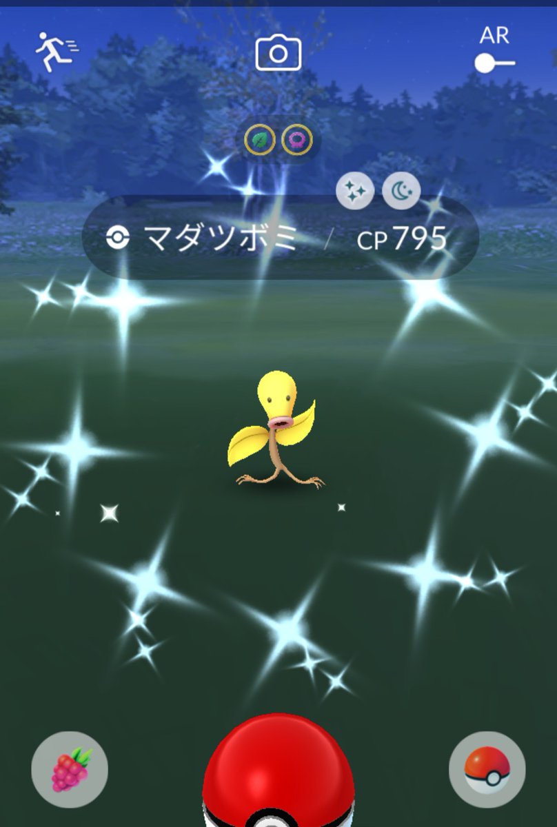 マダツボミ色違い