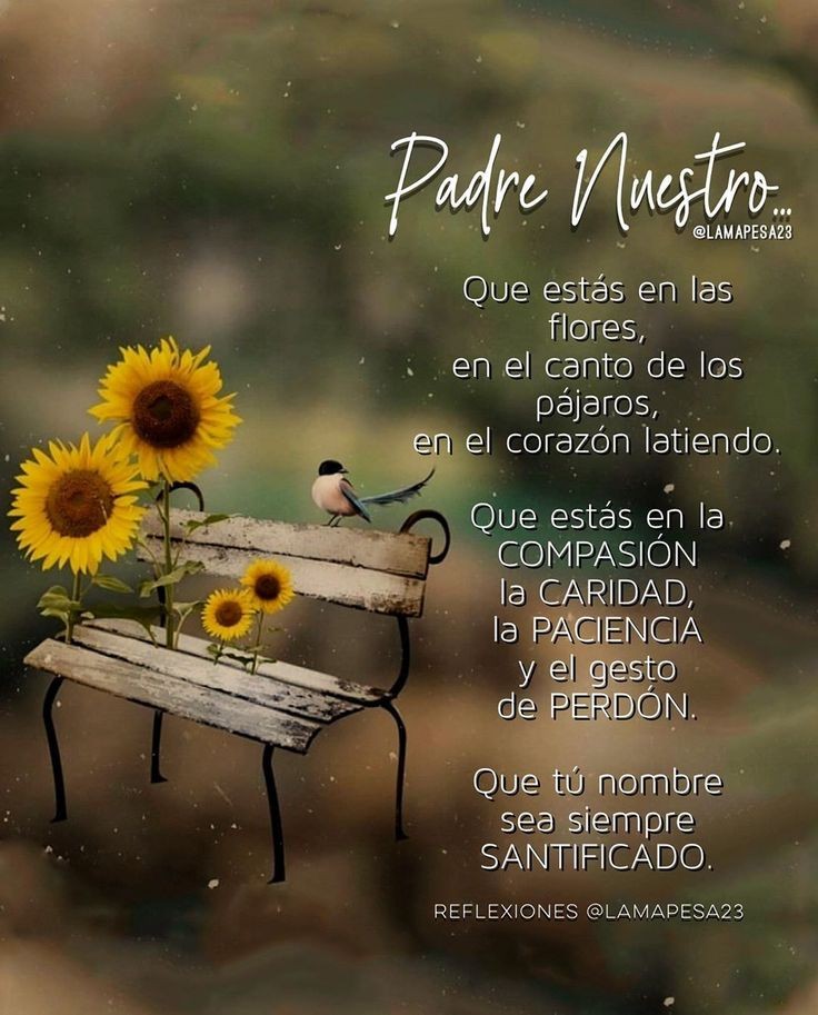 DORIS ✝✡???? on Twitter: "Gracias a ti también Mar... linda imagen.! Buenas  noches, disfruta de un merecido descanso con la bendición de Dios. ???? Un  gran abrazo y besos... cuídate mucho.! ????????????????…
