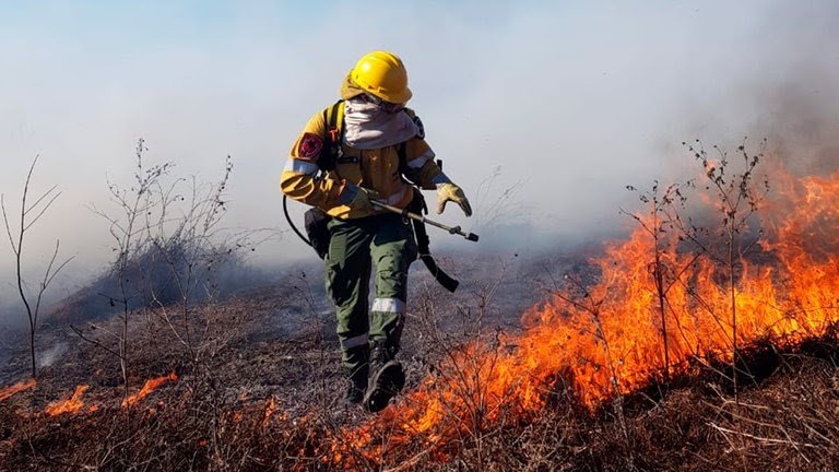 the Paraná Delta and Córdoba are the most affected areas. in the latter province, an emergency was declared due to an agricultural disaster. It happens that the fire has already affected 40,000 hectares. 90% of those affected are small producers with less than 100 animals.