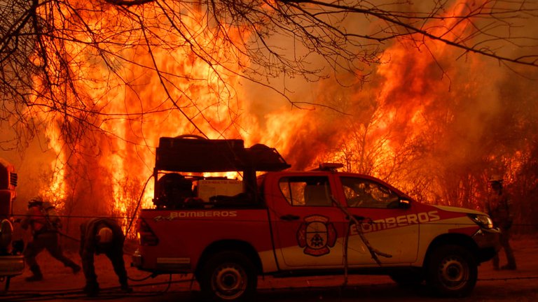 the Paraná Delta and Córdoba are the most affected areas. in the latter province, an emergency was declared due to an agricultural disaster. It happens that the fire has already affected 40,000 hectares. 90% of those affected are small producers with less than 100 animals.