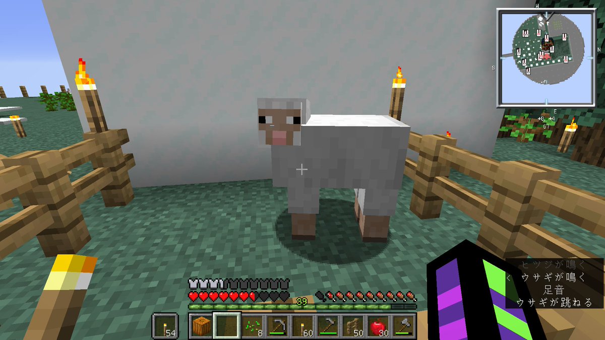 ট ইট র Kanbin Minecraft 1 16 1 Single Datapacks Vanilla Skyblock Release 7 3 やっとベット入手 これでファントムにビビる夜とサラバじゃｗ ベッド入手までのコスト高っｗ 一発破壊系modのcutallが無かったら何日かかることかｗ Https T Co