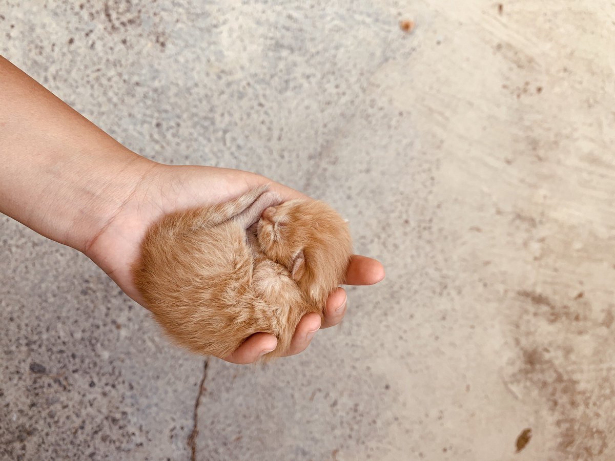 Geceye pozitif bir fotoğraf bırakıyorum arkadaşlar. Alın sizin olsun bakarak seversiniz