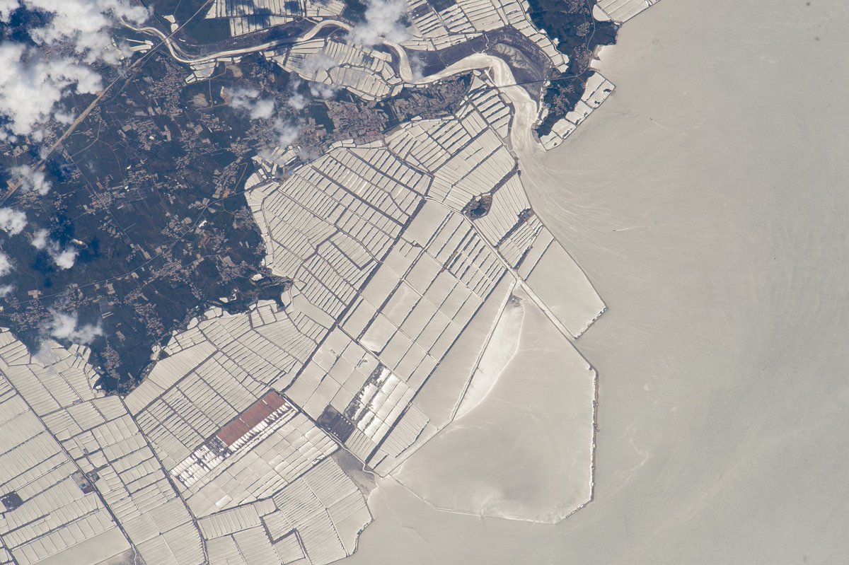 Dr Ana Bugnot (@drabugnot) on Twitter photo Our new study <a href="/naturesustainab/">NatureSustainability</a> shows that marine built structures have modified at least 1-3% of the oceans' exclusive economic zones, with some structure types projecting to double its extent in the following decade. Find out more at rdcu.be/b6zYU. Our new study <a href="/naturesustainab/">NatureSustainability</a> shows that marine built structures have modified at least 1-3% of the oceans' exclusive economic zones, with some structure types projecting to double its extent in the following decade. Find out more at rdcu.be/b6zYU.
