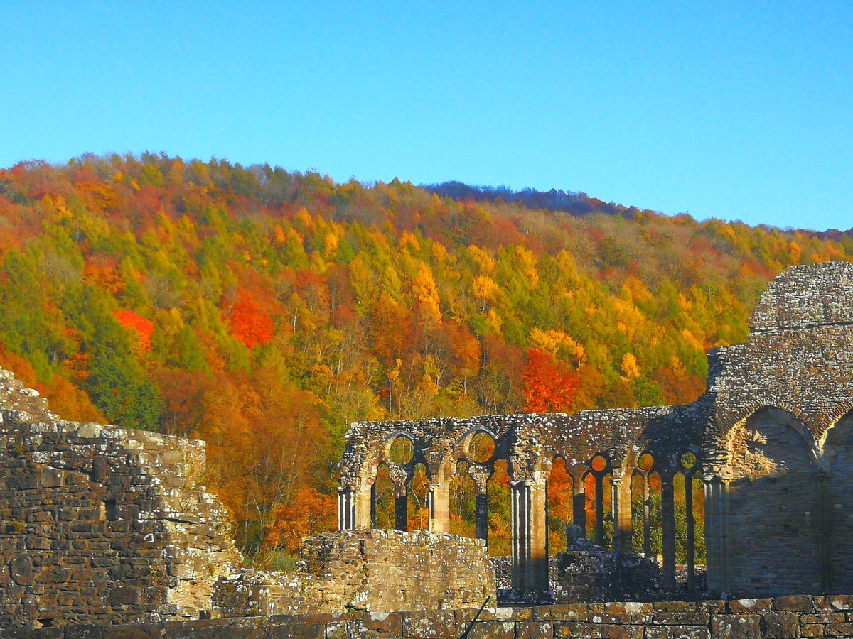 CelticTrails's tweet image. Short break in Autumn?

As we move towards the frosty mornings of October, the autumn colours of the Gilpin Trail in the Wye Valley will be at their best.
You can read the full details here:buff.ly/33WKMRt 

#autumn #wyevalley #tintern #tinternabbey #walking #staycation