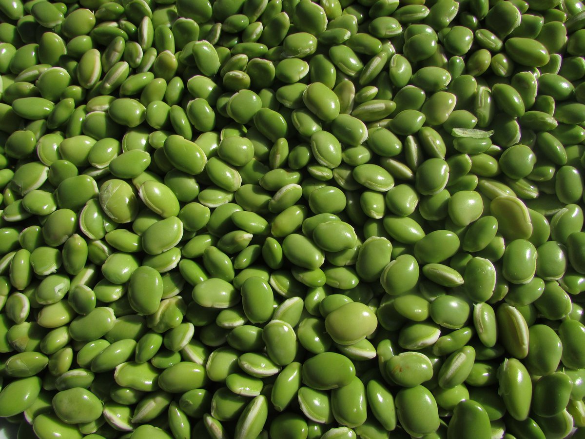 An image of pulses, the dry, edible seeds of plants in the legume family, which include UK-grown beans and peas as well as chickpeas and lentils.