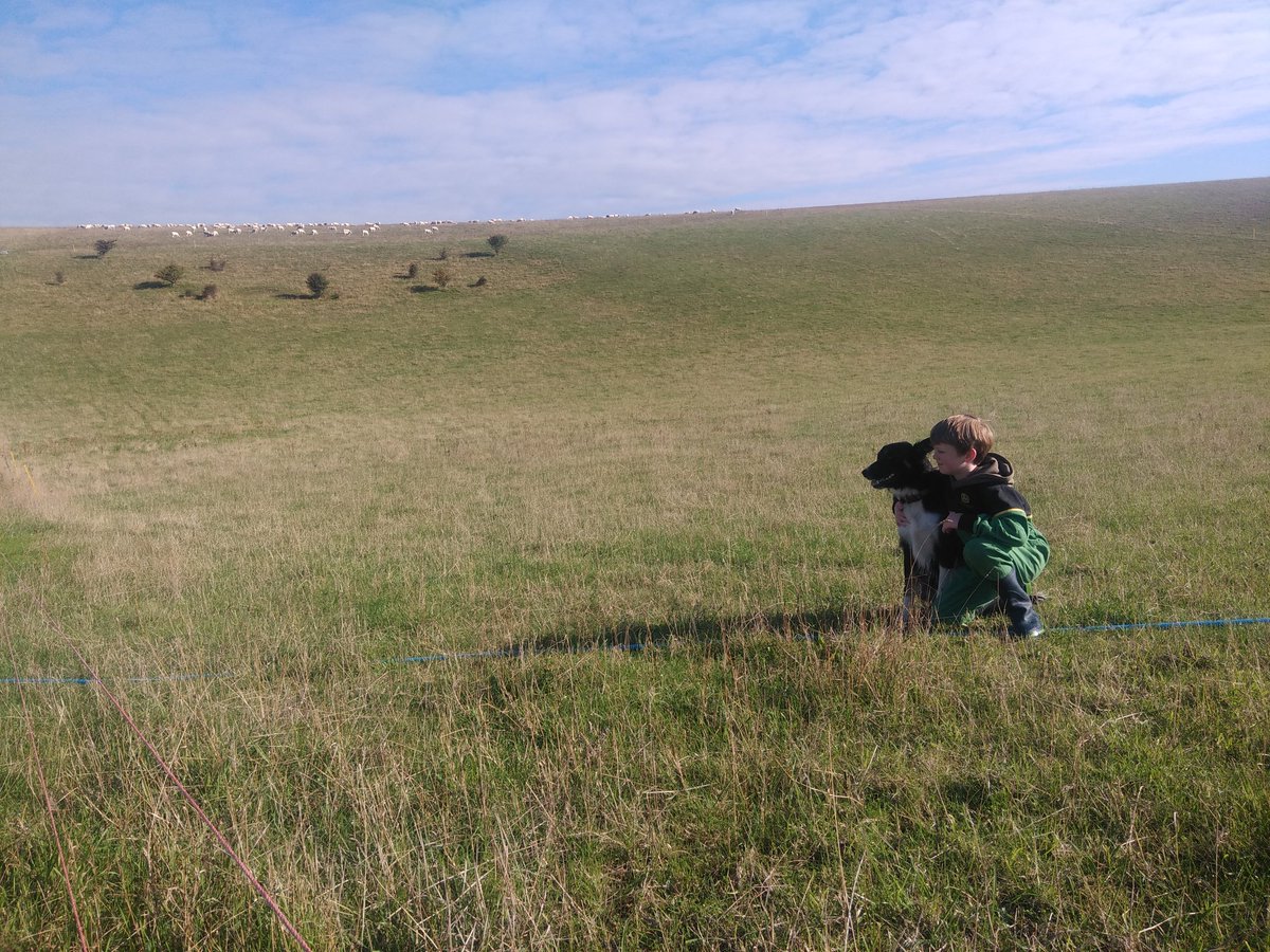 SaddlescombeFam's tweet image. Great mates #Shepherding #SouthDowns
