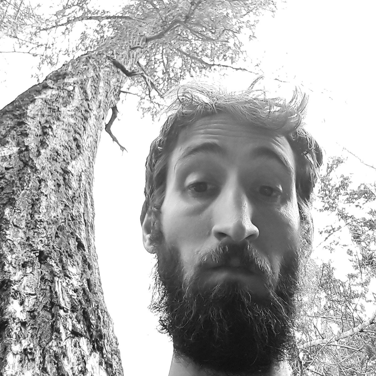 TheSmokeyGeneration tweet media