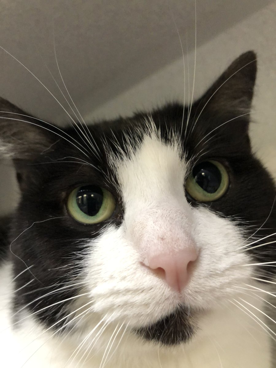 peeeple alwayss tell me th at i am a preety girl,,,,, and their right