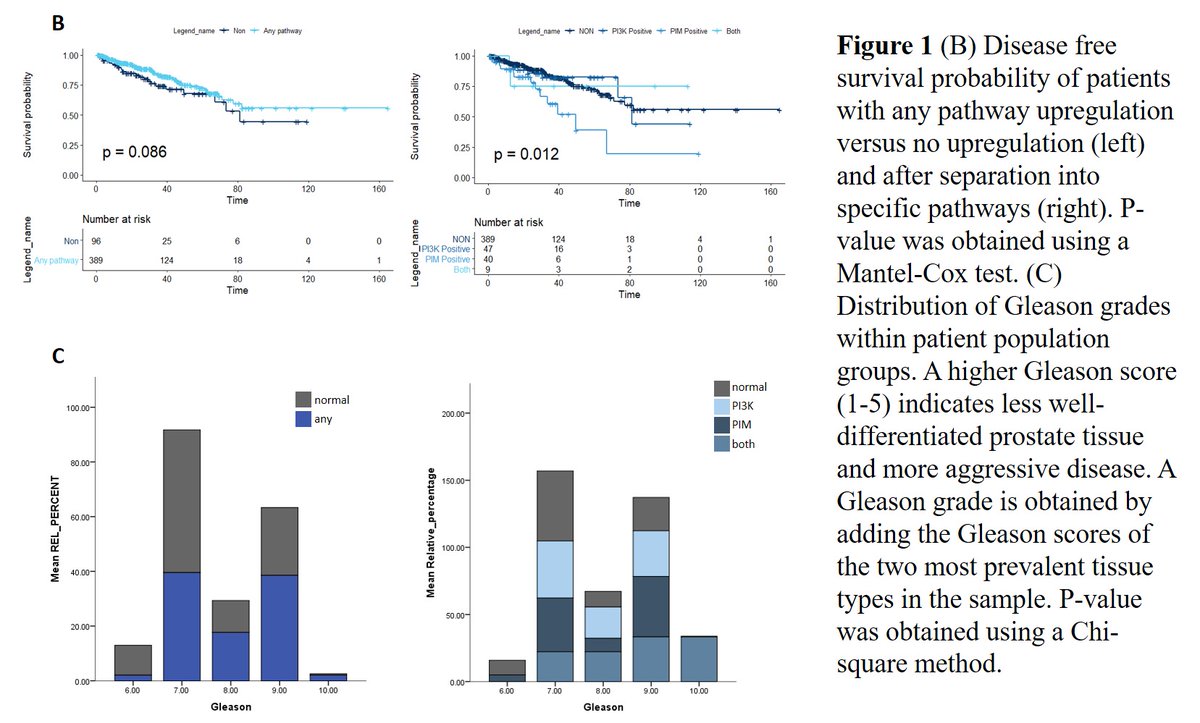 (4/13) Fig1b+c:These patients who could hopefully benefit from this co-targeted approach also happen to tend to be sicker (higher Gleason, lower survival) 