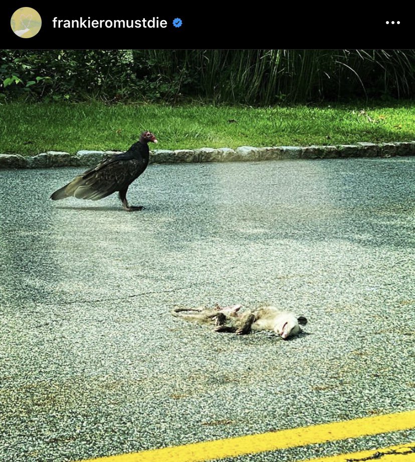 These photos that showcases death in the middle of the road.