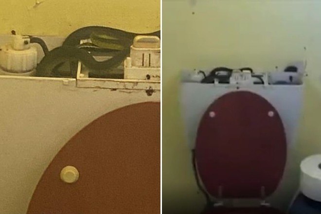 Mulher descobre 4 cobras em vaso sanitário que não dava descarga.
noticiasnaweb.com.br/noticias-detal…