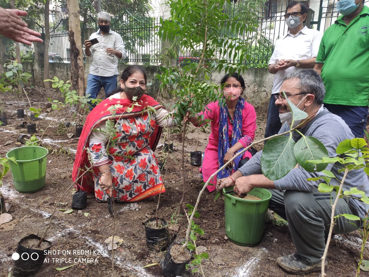 madhuri_var's tweet image. First #miyawaki #forest @Dwarka by #risefoundation team. Thanks to Mla Bhawna gaur ji @KundraMunish @DeepakB82512096 @risefound2011 @rmumukshu @madhuvarsha and all volunteers for whole hearted support.