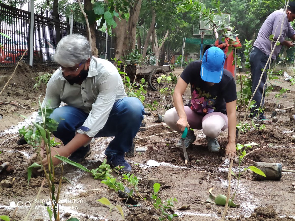 madhuri_var's tweet image. First #miyawaki #forest @Dwarka by #risefoundation team. Thanks to Mla Bhawna gaur ji @KundraMunish @DeepakB82512096 @risefound2011 @rmumukshu @madhuvarsha and all volunteers for whole hearted support.