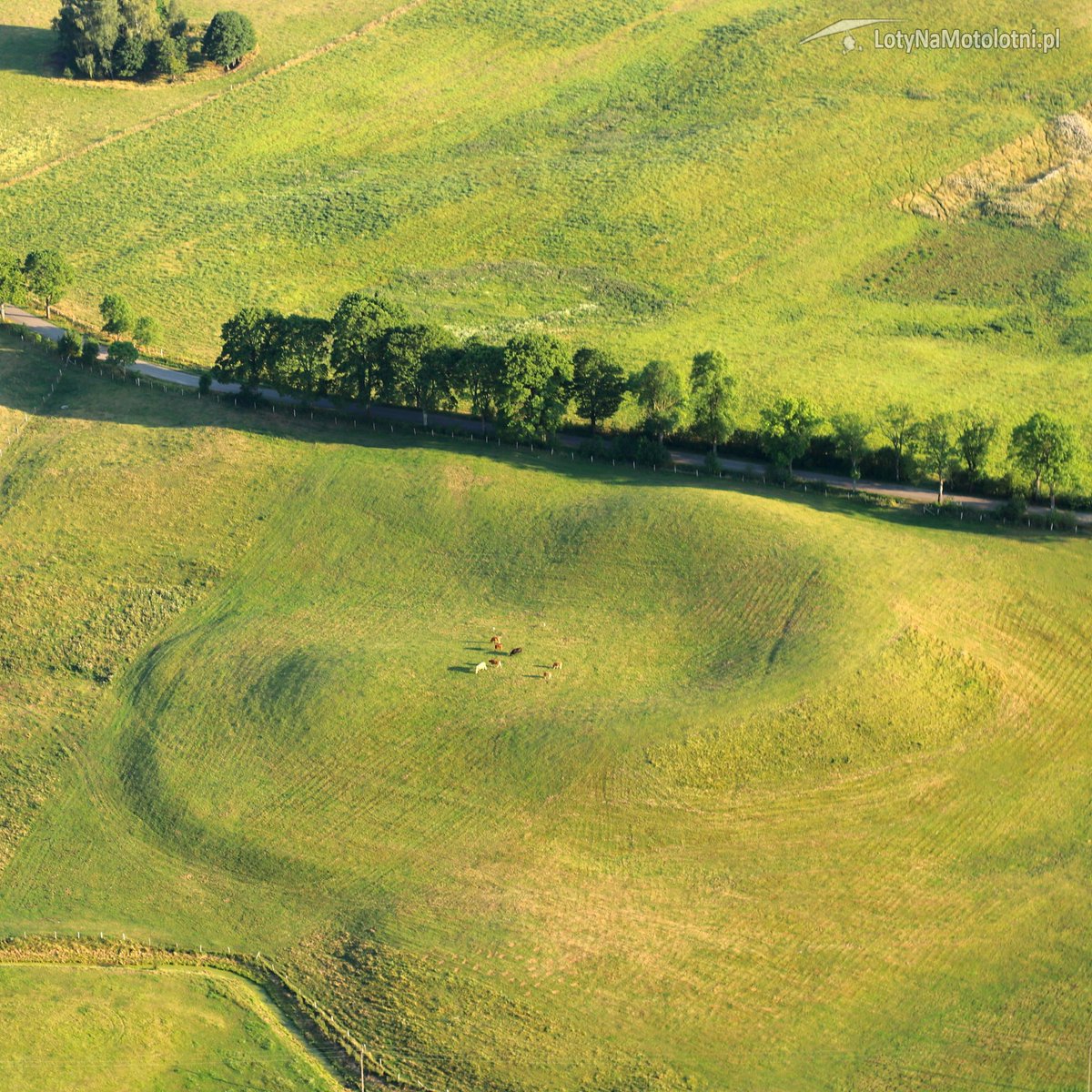 LotyNaMotolotni's tweet photo. Zwierzątka na mazurskich pagórkach.
#mazury #natura #fly4fun https://t.co/pKzNWTU5BY