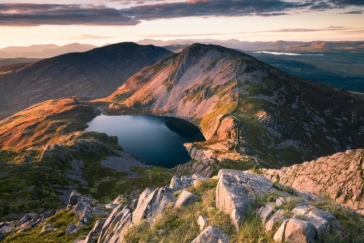 Daron linney tweet media