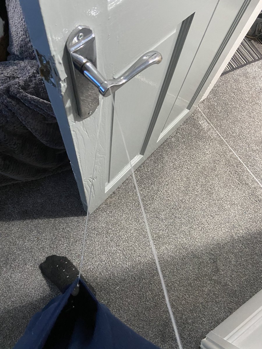 bethangriffith's tweet image. If you know, you know...

@TandemDiabetes #tslim #gbdoc #doc #insulinpump #fml