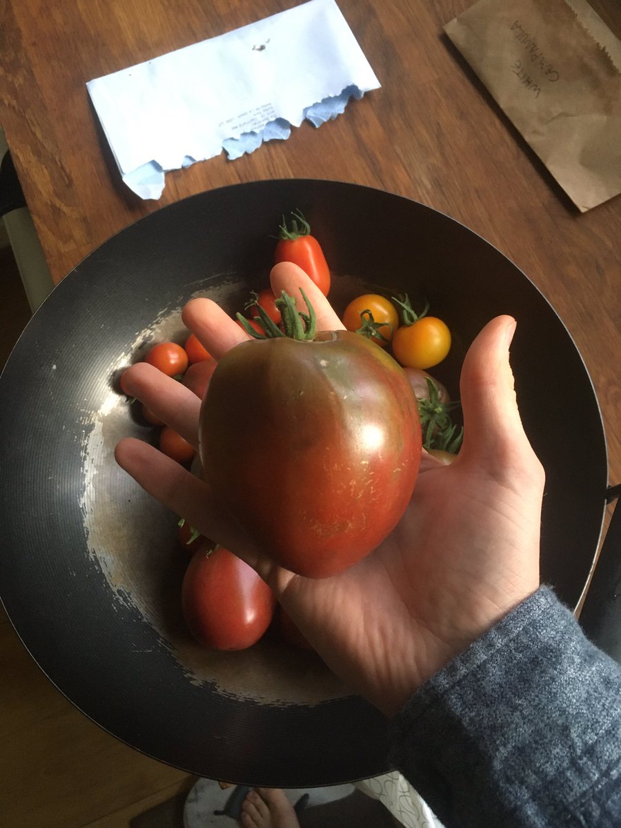 Today’s #tomato harvest 🍅 #harvest20