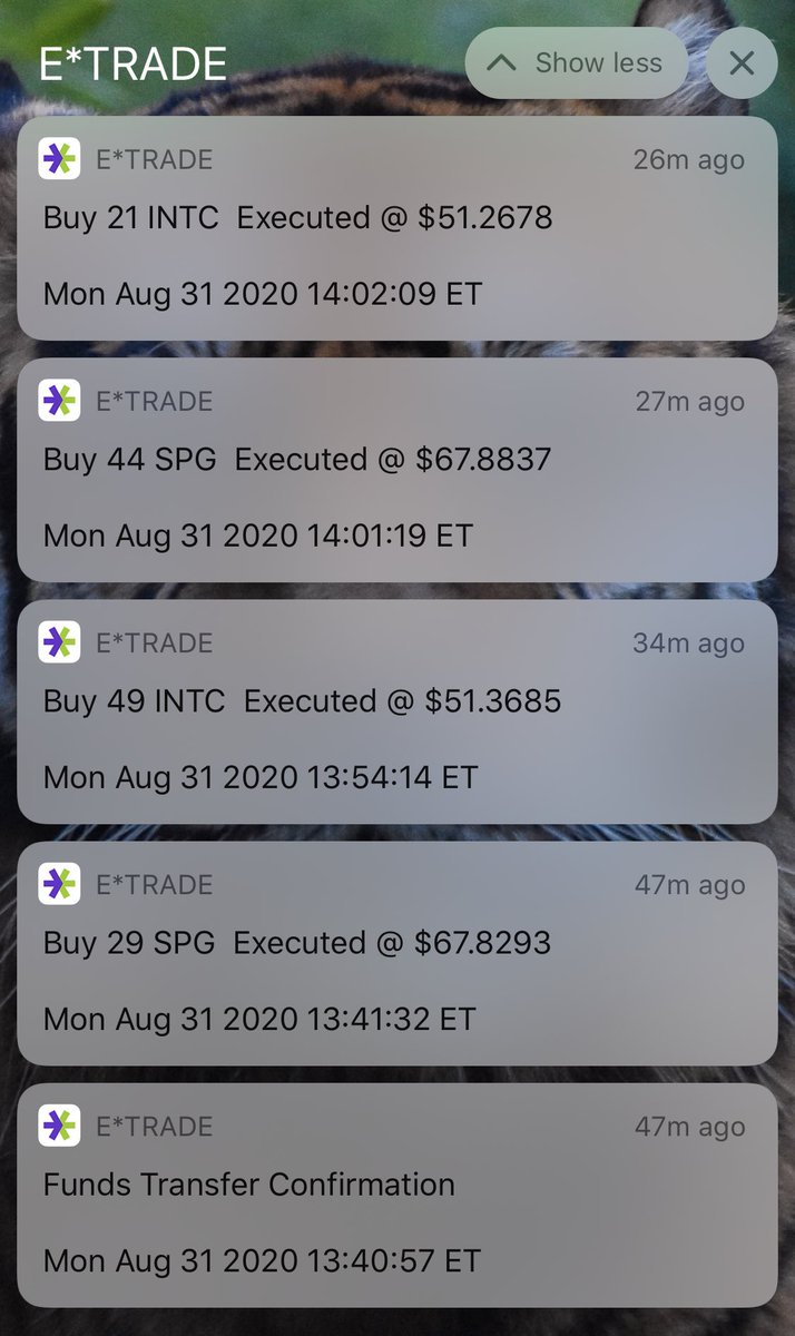 CJ_Johnson17th's tweet image. Everyday I wake up &amp;amp; invest

It’s a priority to me

Before I roll out into the world and give money to the malls, grocery stores or even pay bills, I spend money on me first

Adding to both $INTC and $SPG 

Just buying more income

gumroad.com/l/IDaKd