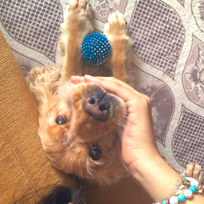 #BuMamaBenden  
   🤎