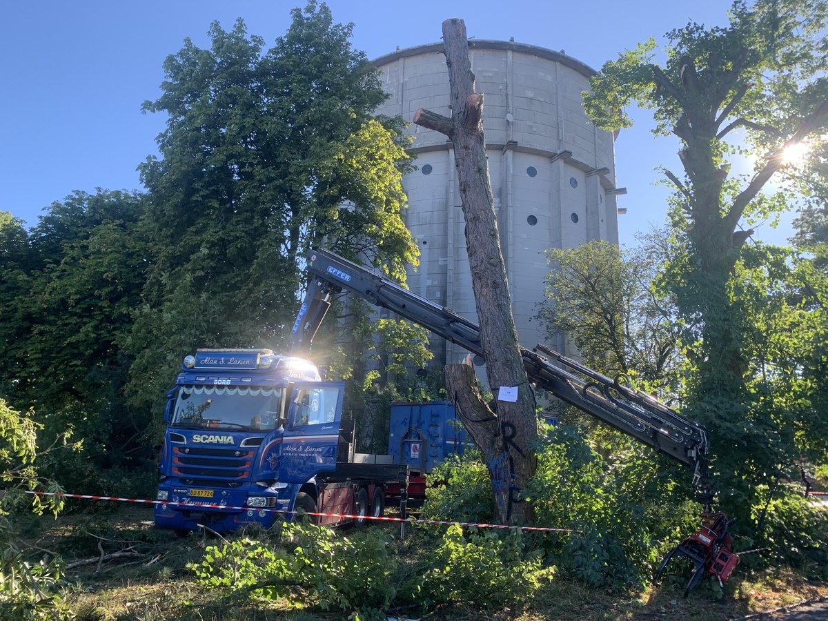 AnneWaagstein's tweet image. Det har været en ren massakre i dag. Gamle, smukke, raske træer er kappet og kvast. Beboerne stod på gaden og græd - mange havde ikke hørt om det før det skete. Borgerrepræsentationen - ikke mindst @Spolitik og @Enhedslisten - fremstår ansigtsløs og kynisk. Ingen vil stå ved det.