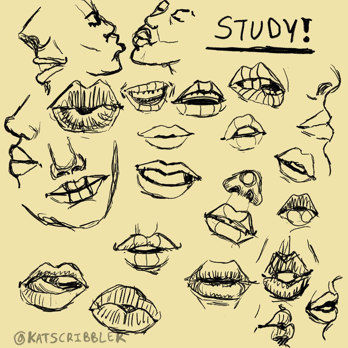 katscribbler's tweet image. Study Notes: Drawing Lips! (Bonus)

#howtodrawlips #howtodrawmouth #howtodraw #lips #mouth #drawingtutorial #art #digitalart #smallartist #illustration