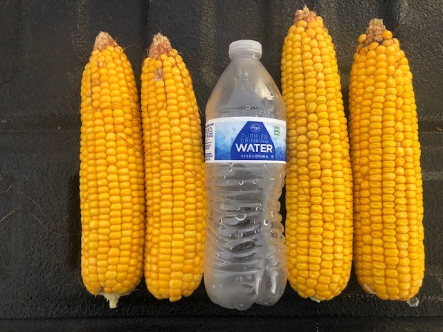 Stephen Sexton tweet media